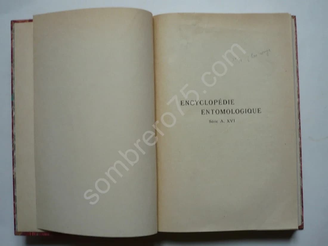 Les Arachnides, Scorpions, Araignées - Image 4