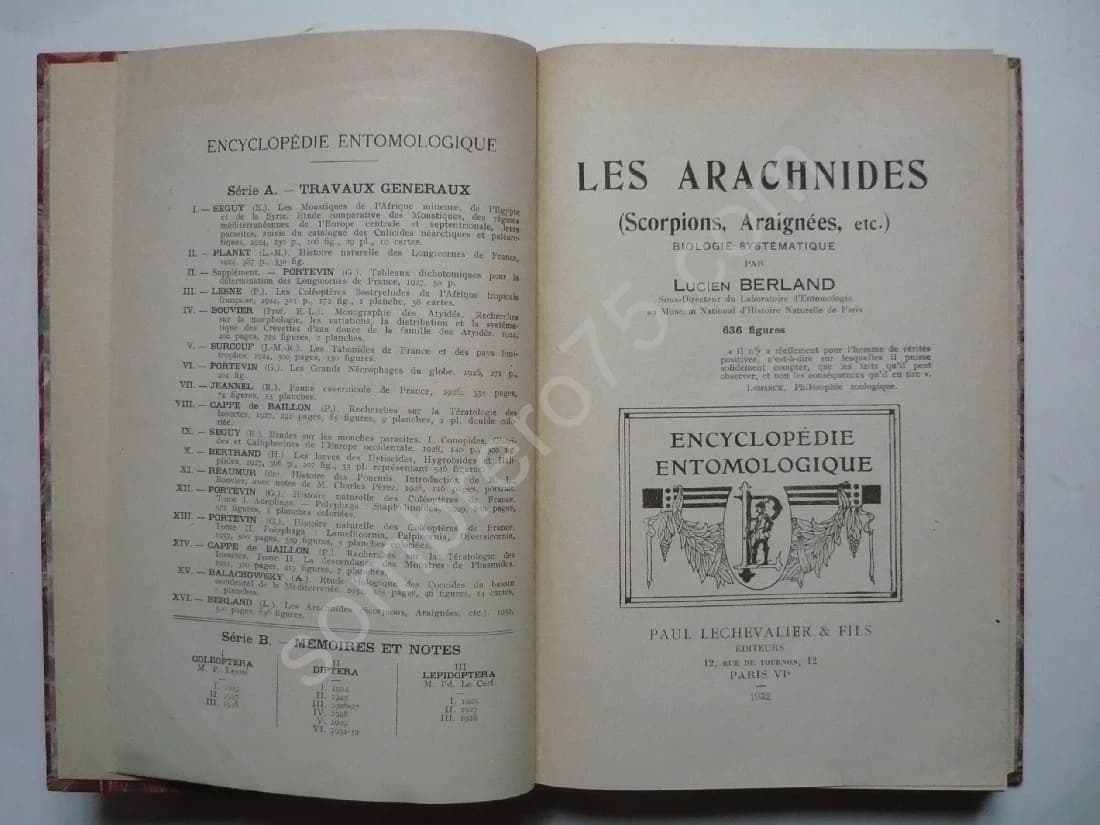 Les Arachnides, Scorpions, Araignées - Image 5