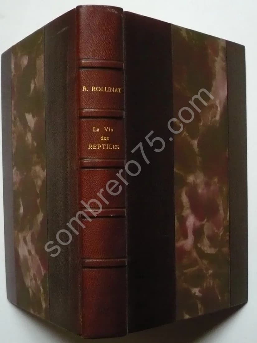 La Vie des Reptiles de la France Centrale