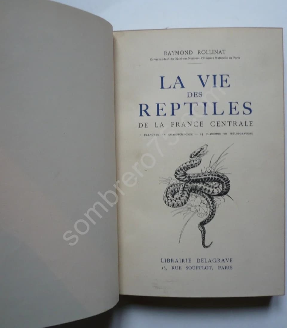 La Vie des Reptiles de la France Centrale - Image 3