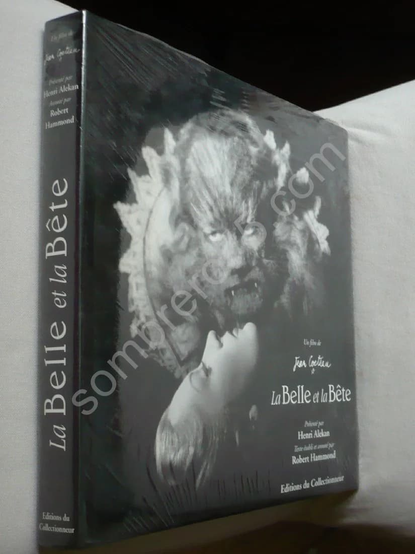 La Belle et la Bête - Image 2