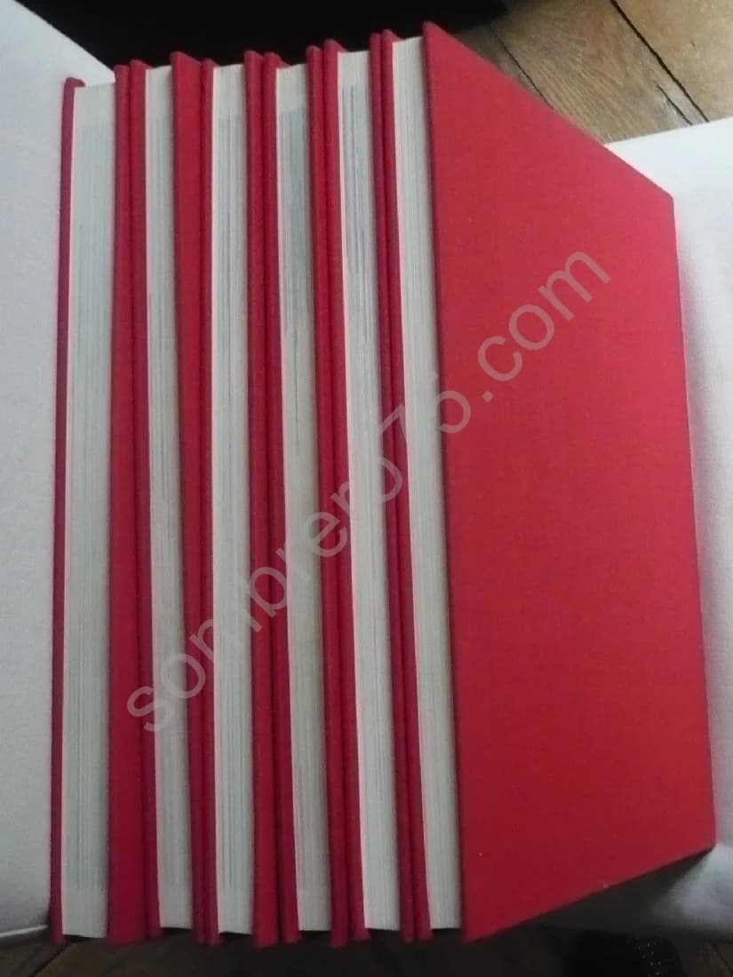 Les Petits Maitres de la Peinture - Valeur de demain. 6 Tomes - Image 3