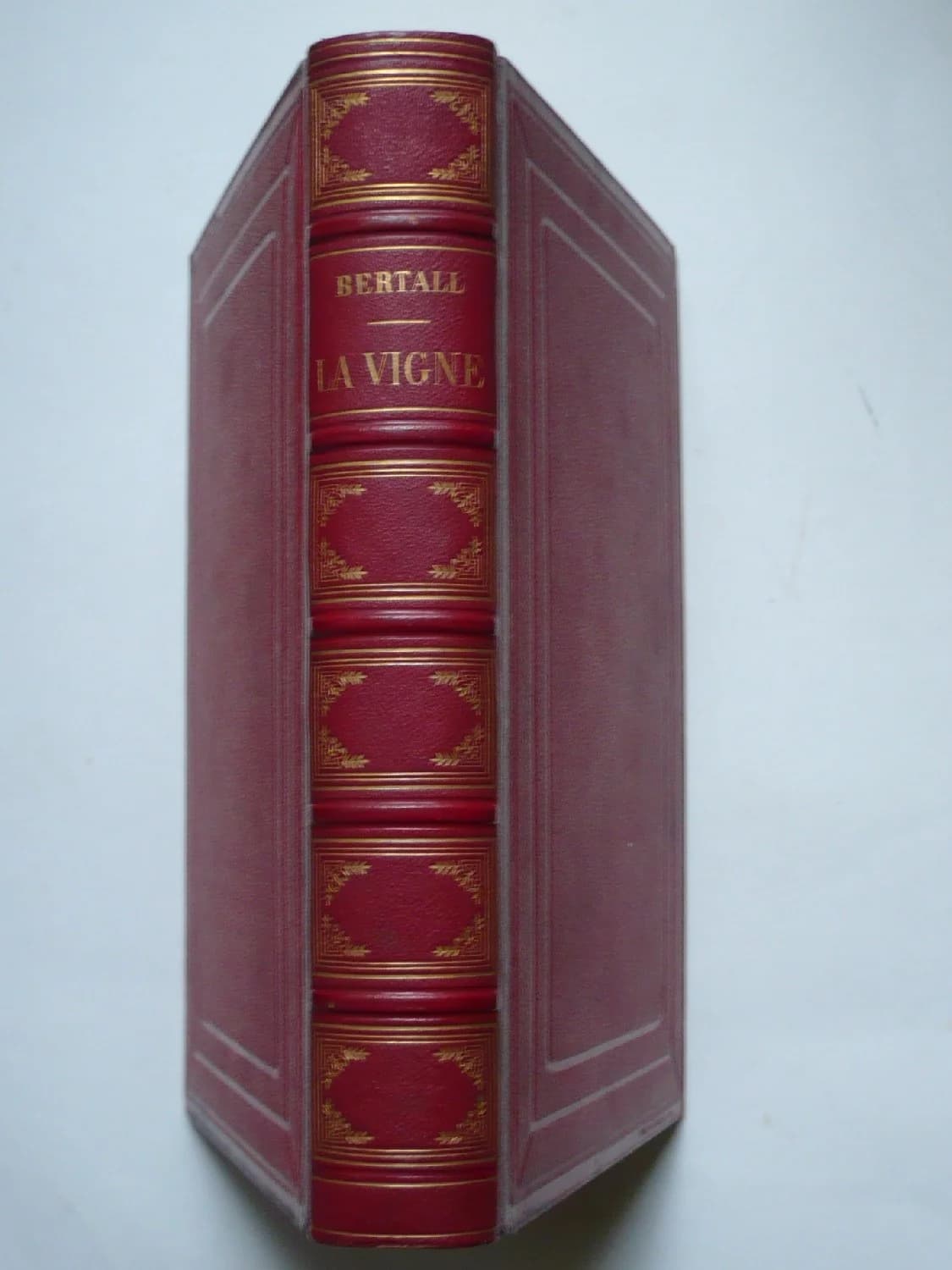 La Vigne Voyage autour des Vins de France. 1878