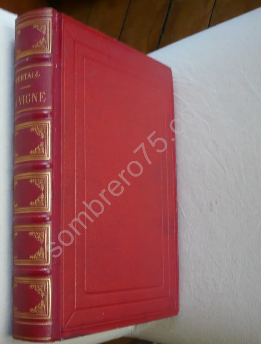 La Vigne Voyage autour des Vins de France. 1878 - Image 2