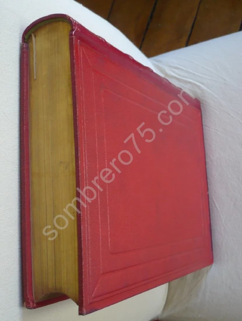 La Vigne Voyage autour des Vins de France. 1878 - Image 4