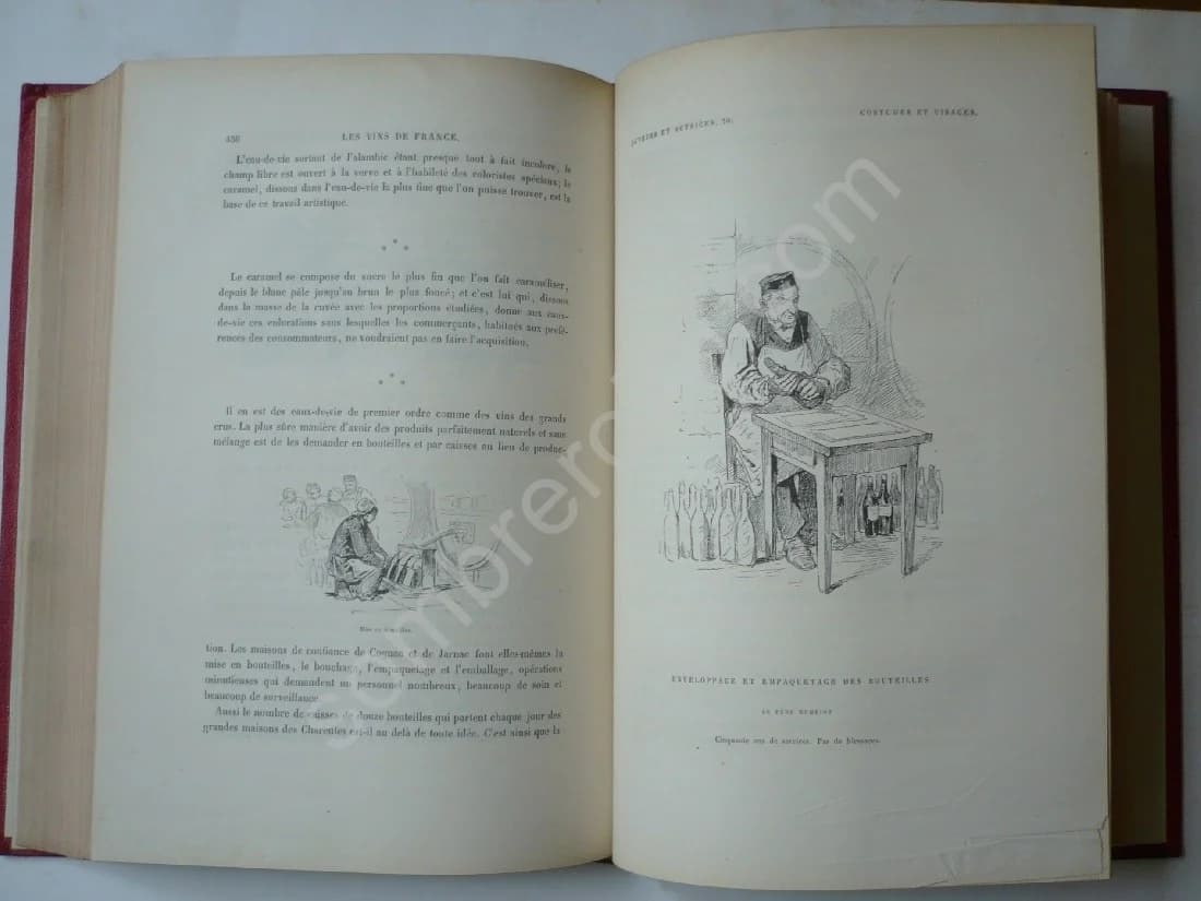 La Vigne Voyage autour des Vins de France. 1878 - Image 5