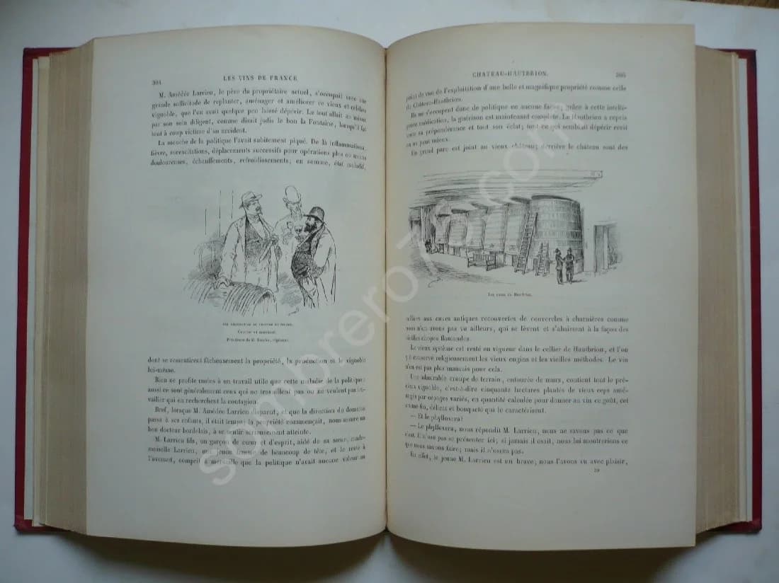 La Vigne Voyage autour des Vins de France. 1878 - Image 7