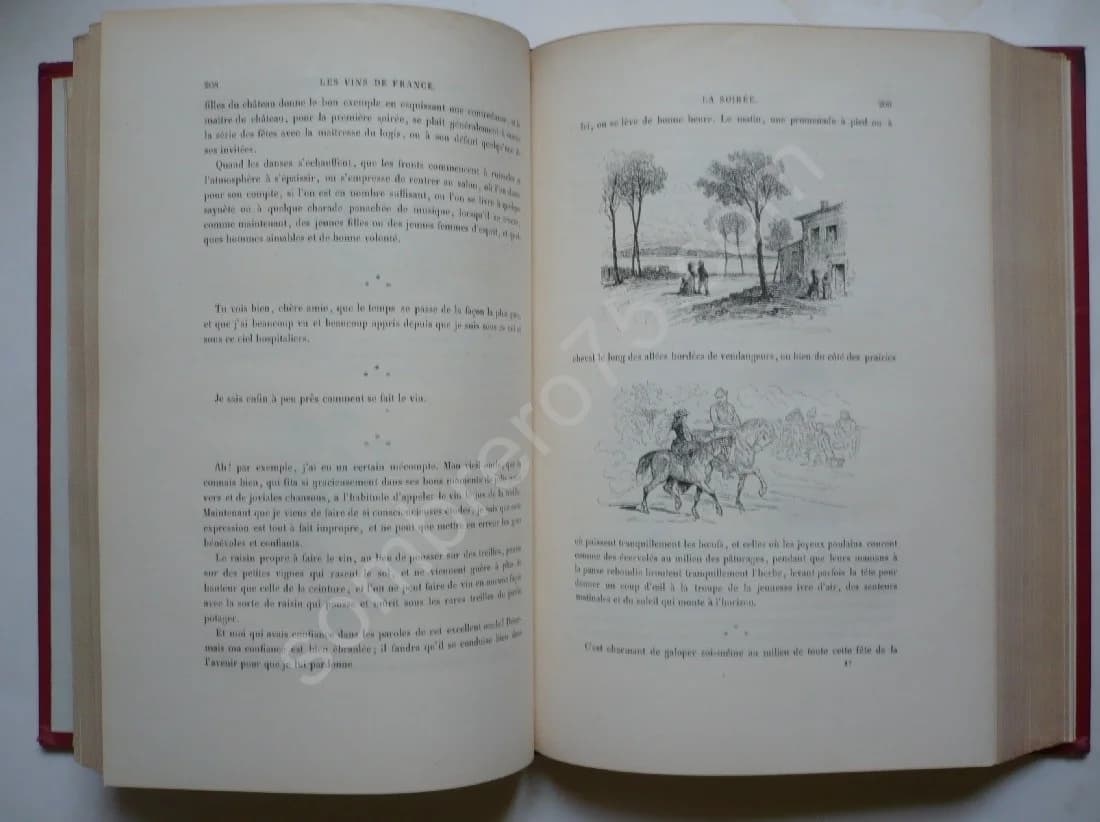 La Vigne Voyage autour des Vins de France. 1878 - Image 8