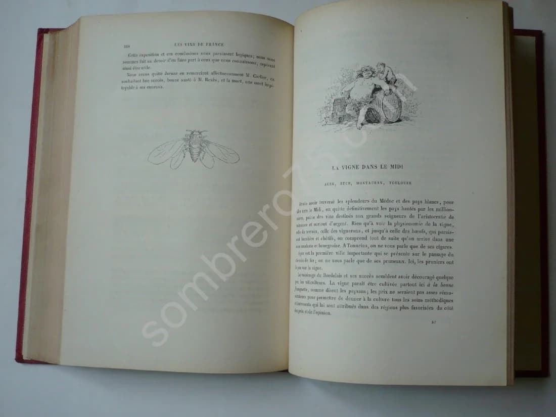 La Vigne Voyage autour des Vins de France. 1878 - Image 9
