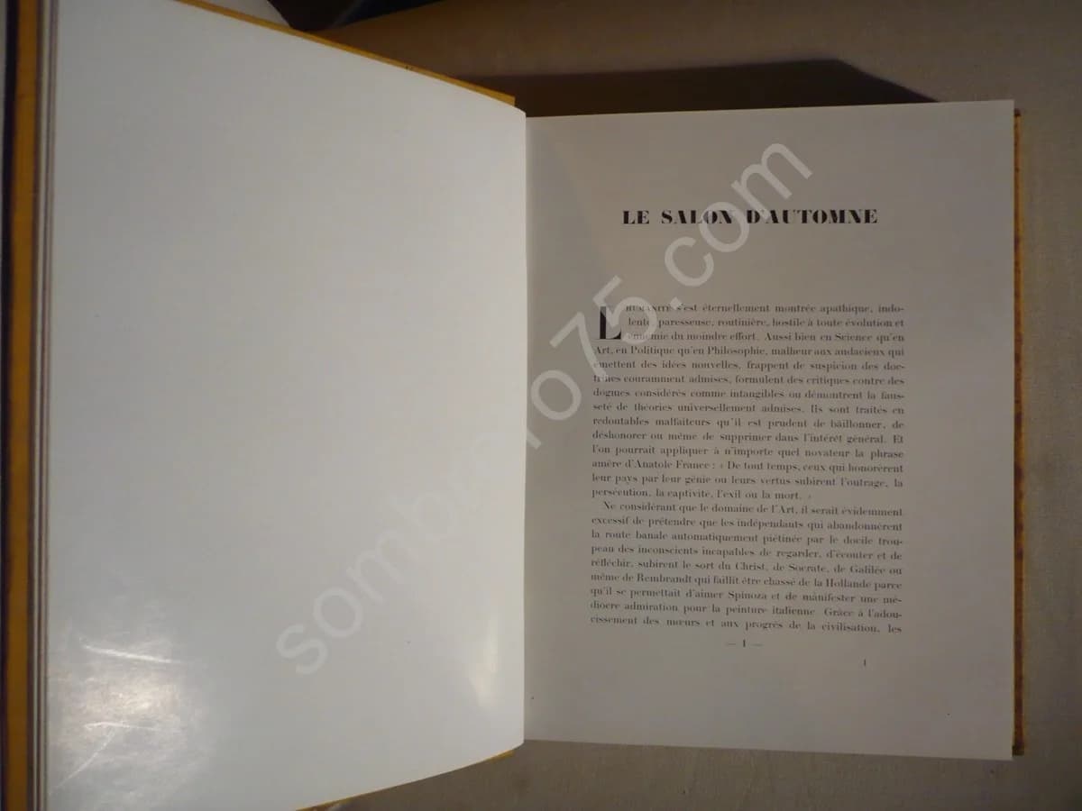 Le Salon d'Automne - Image 3