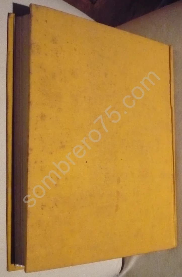 Le Salon d'Automne - Image 4