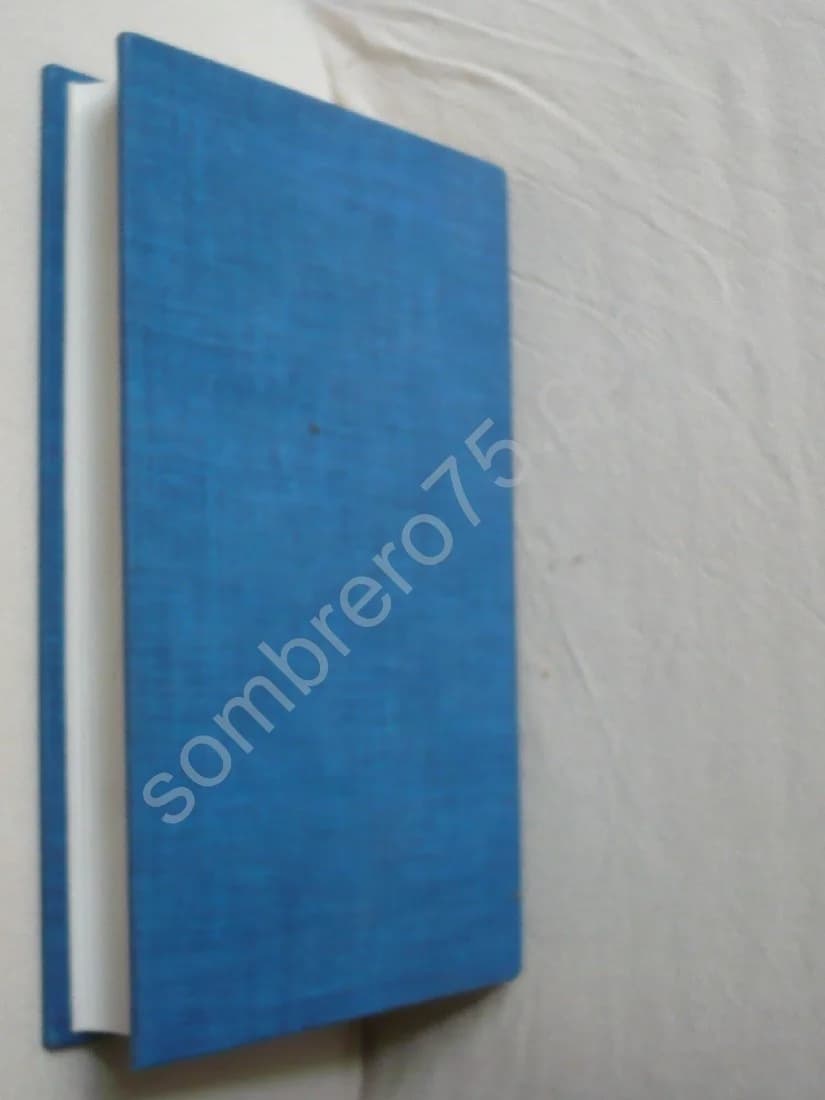 Vade-Mecum d'Acupuncture Symptomatique - Image 3