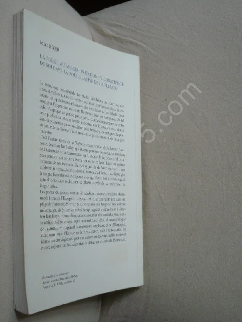 La Poésie au Miroir. Imitation et Conscience de Soi dans la Poésie Latine de la Pléiade - Image 3