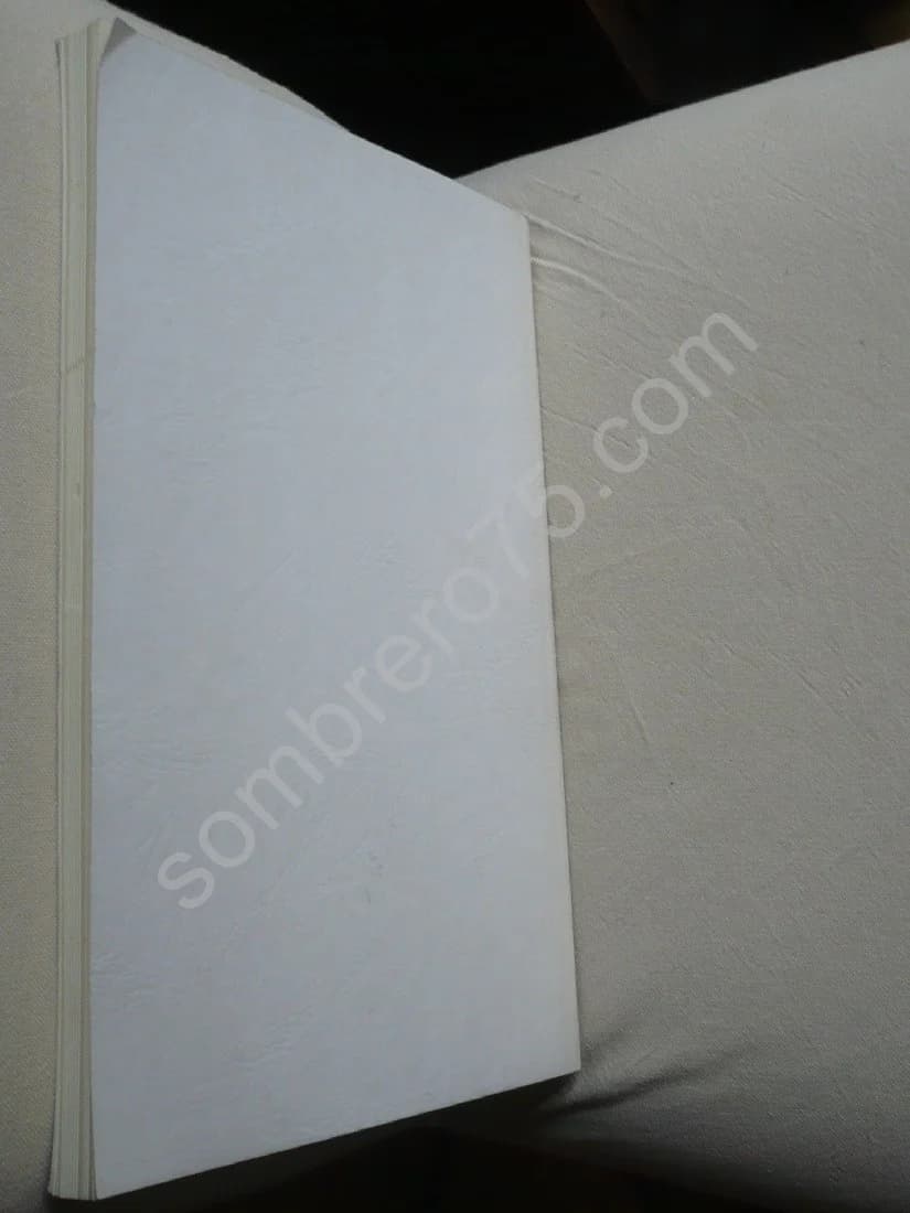 Rue de la Vieille Lanterne le 26 Janvier 1855, à l'aube. La Vie et les "Rêves de Gérard Labrunie Dit Gérard De Nerval - Image 3