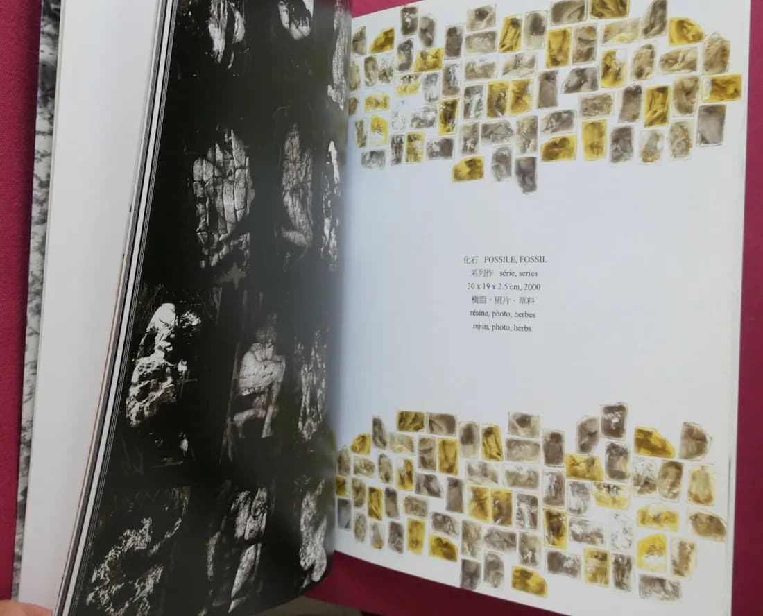 Chen Mei-Tsen. Galerie 91 - Image 4