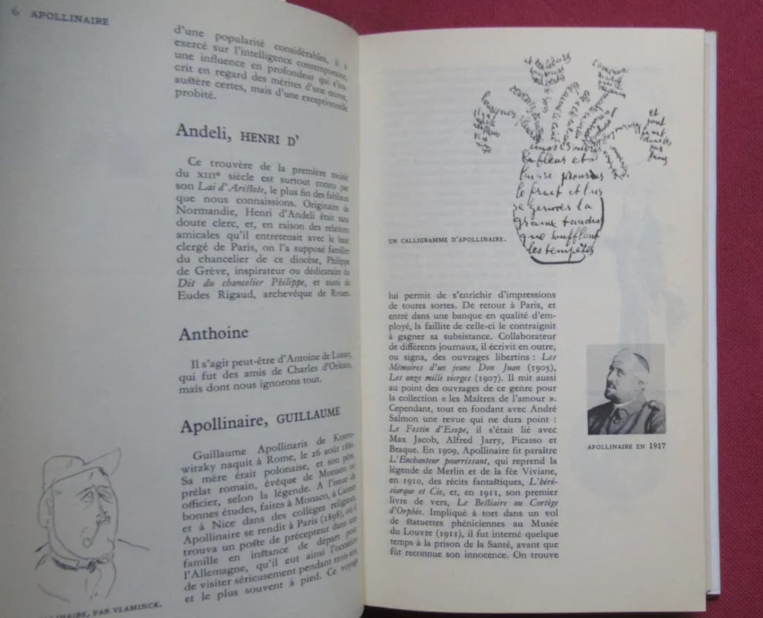 Album Pléiade Dictionnaire des Auteurs de 1960 - Image 5