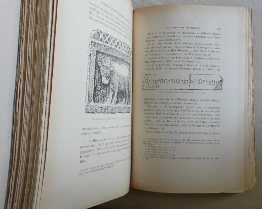 Petra et la Nabatène. Texte - Image 6