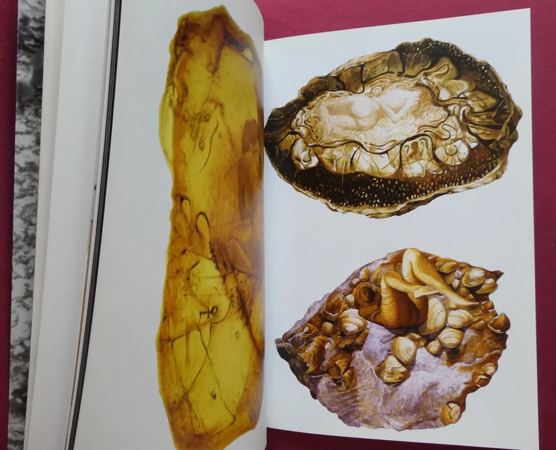 Chen Mei-Tsen. Galerie 91 - Image 6