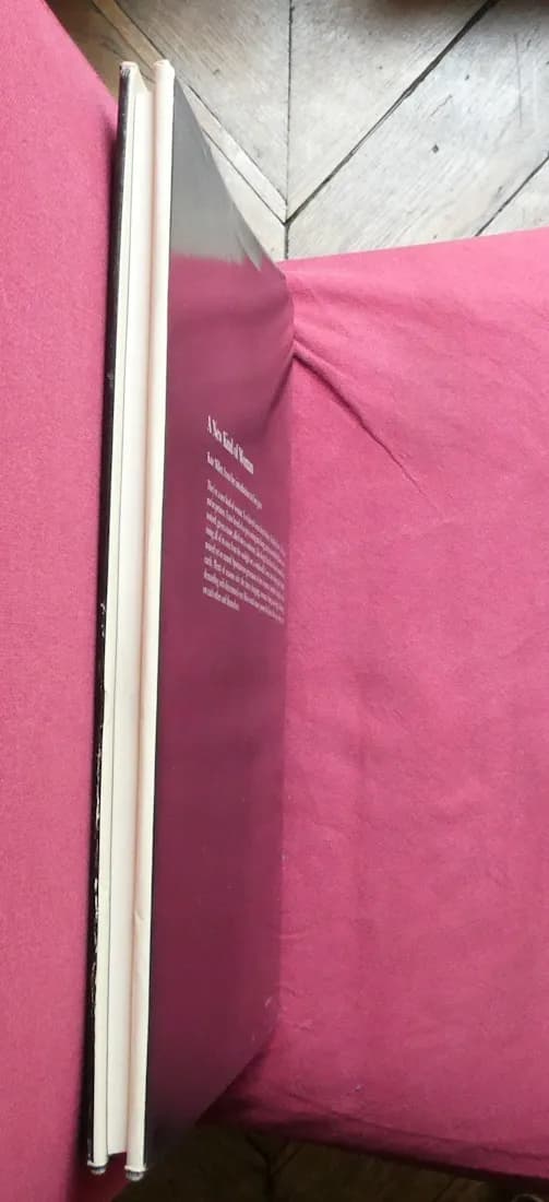 EMERGENCE Cynthia MACADAMS 1977 - Image 10