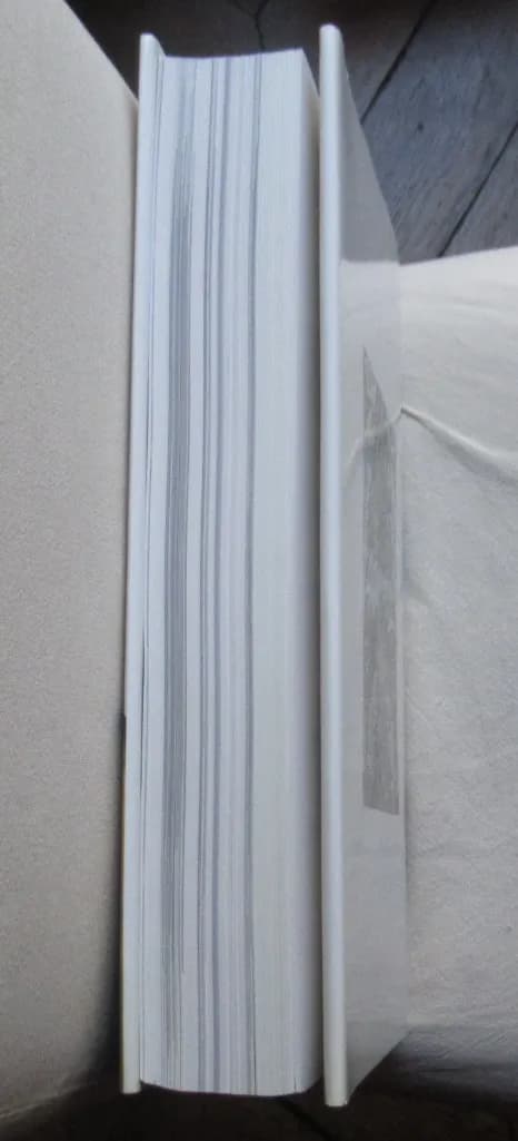 L'Art du XIXe Siècle seconde moitié 1850-1905. Françoise CACHIN - Image 11