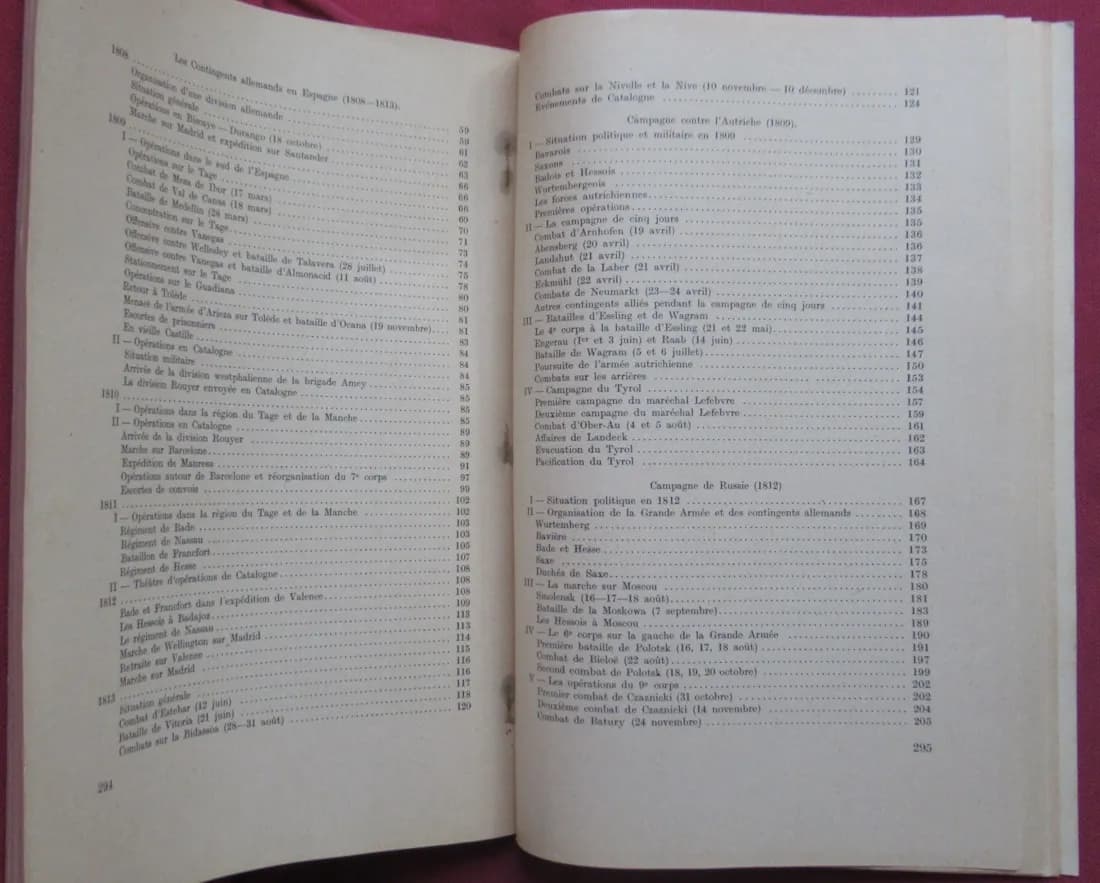 Camillle SAUZEY. Les Allemands sous les les Aigles Françaises. BADE - Image 10