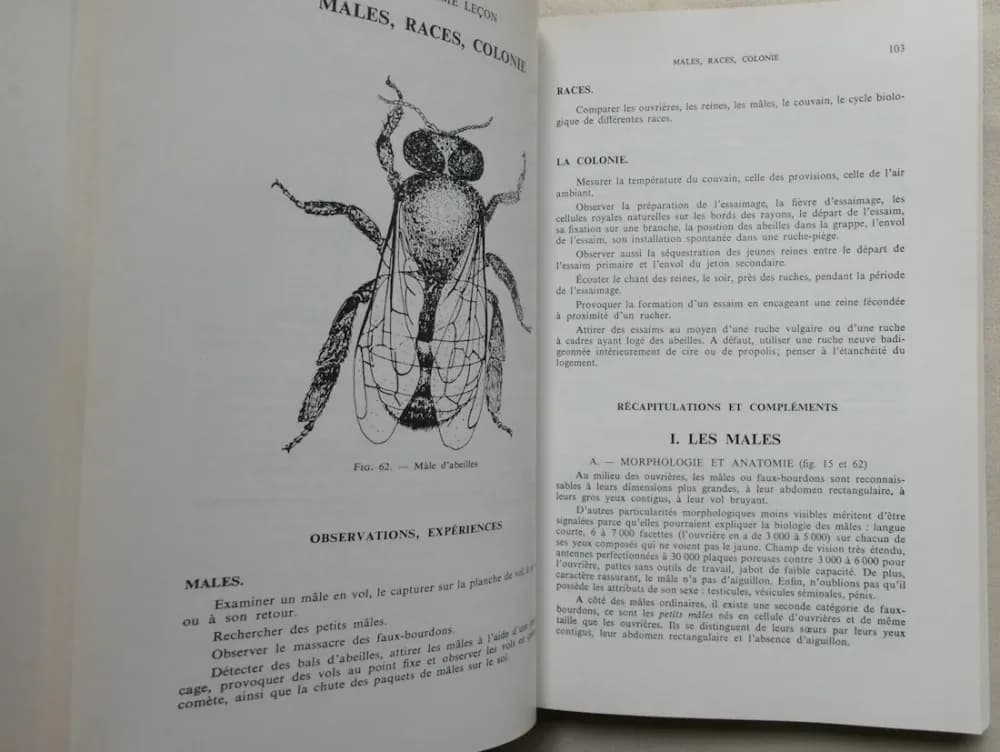 Apiculture - Connaitre l'Abeille - Conduire le rucher. P. JEAN PROST - Image 4