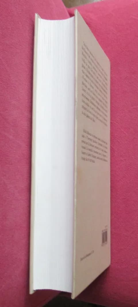 Michel BIDEAUX. Amadis de Gaule Livre I. TR 116 - Image 5