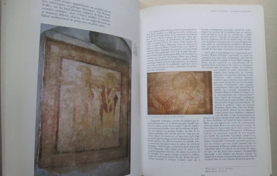 Peindre à Auxerre au Moyen Age. Christian SAPIN - Image 5