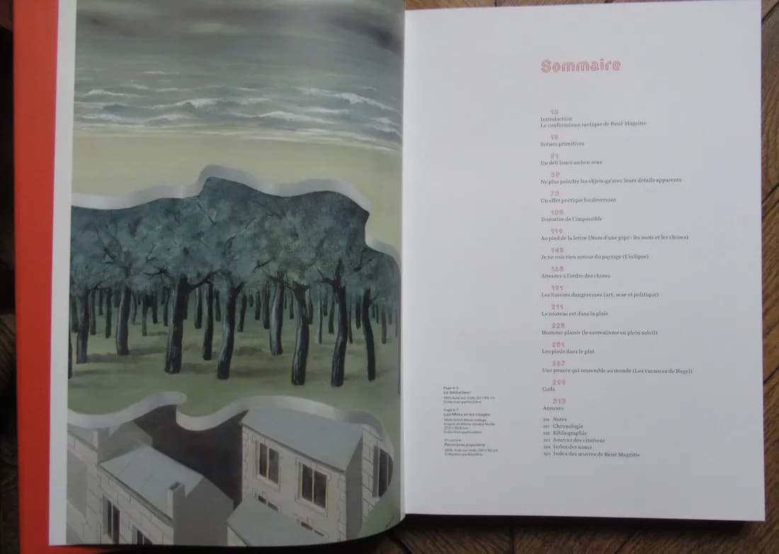 Bernard Marcadé. Magritte "L'art de peindre est un art de penser" - Citadelles - Image 12