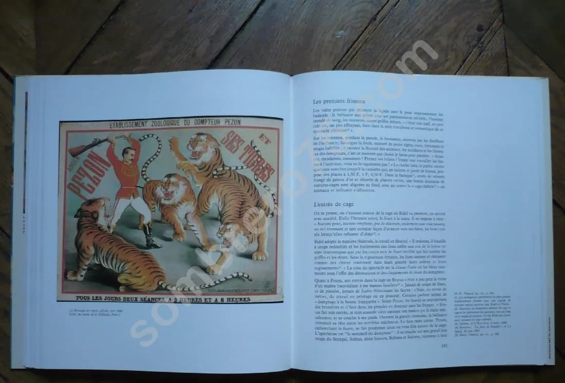 La Fête Foraine d'Autrefois - Image 5