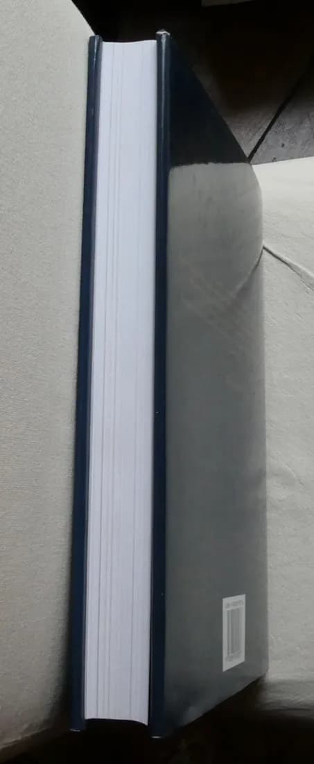 Manuel de Restauration des Tableaux. Knut NICOLAUS - Image 11