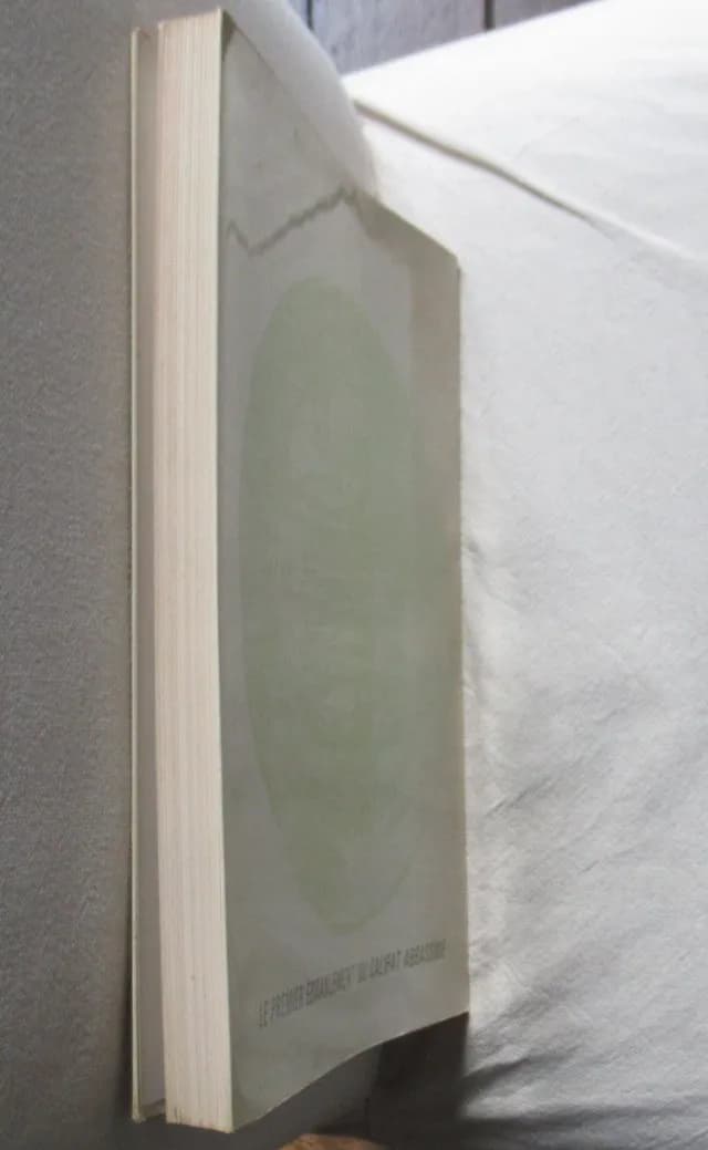 La Révolte des Esclaves en Iraq au IIIe / IXe Siècle. Alexandre POPOVIC - Image 8