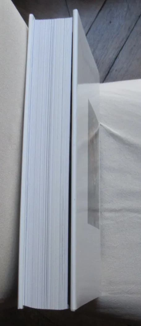 L'Art Océanien. Adrienne L. KAEPPLER - Citadelles Mazenod 1993 - Image 7