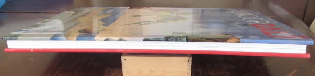 Salvador DALI Rachel BARNES Citadelles & Mazenod - Image 9