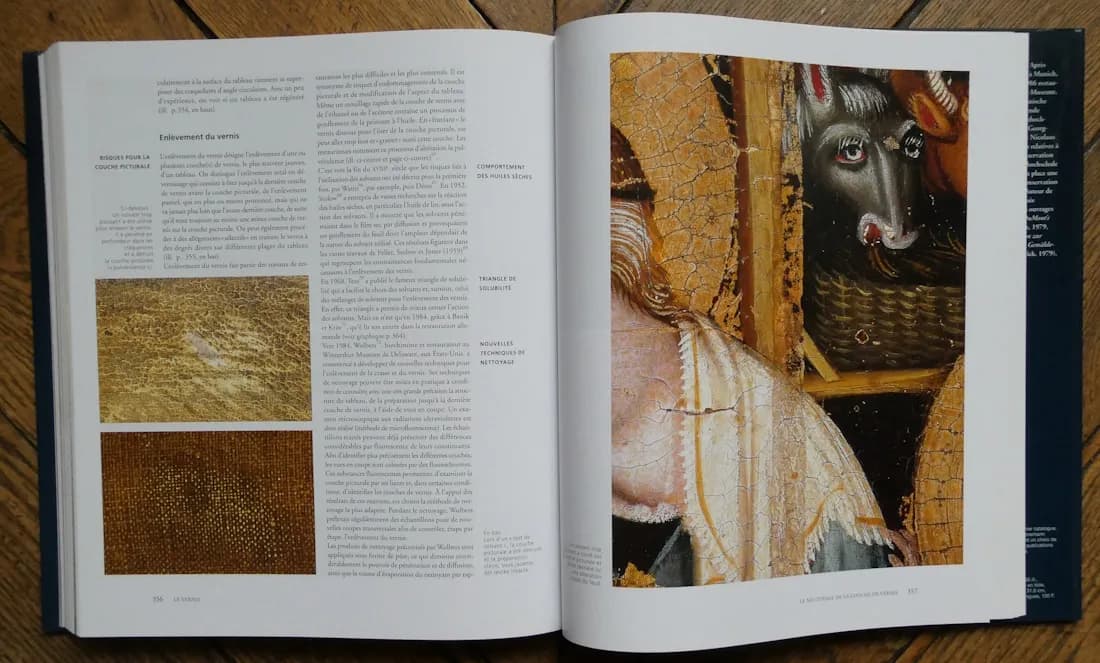 Manuel de Restauration des Tableaux. Knut NICOLAUS - Image 5