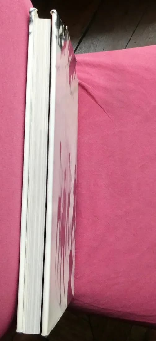 Buenos Aires - Alicia d'Amico Sara Facio - Julio Cortazar Ed. O. - Image 9