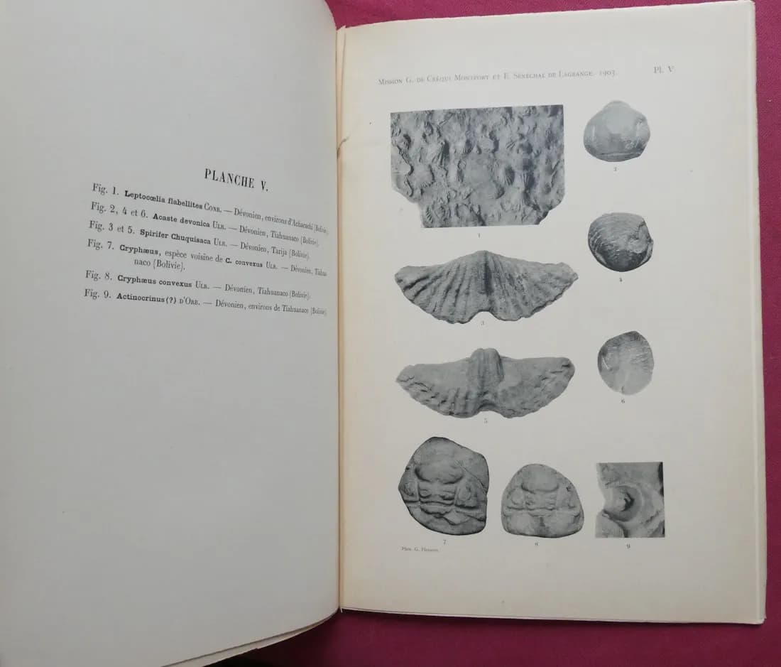 Mission Scientifique Amérique du Sud. Mammifères - Les Lacs -  Explorations Géologiques - Image 12