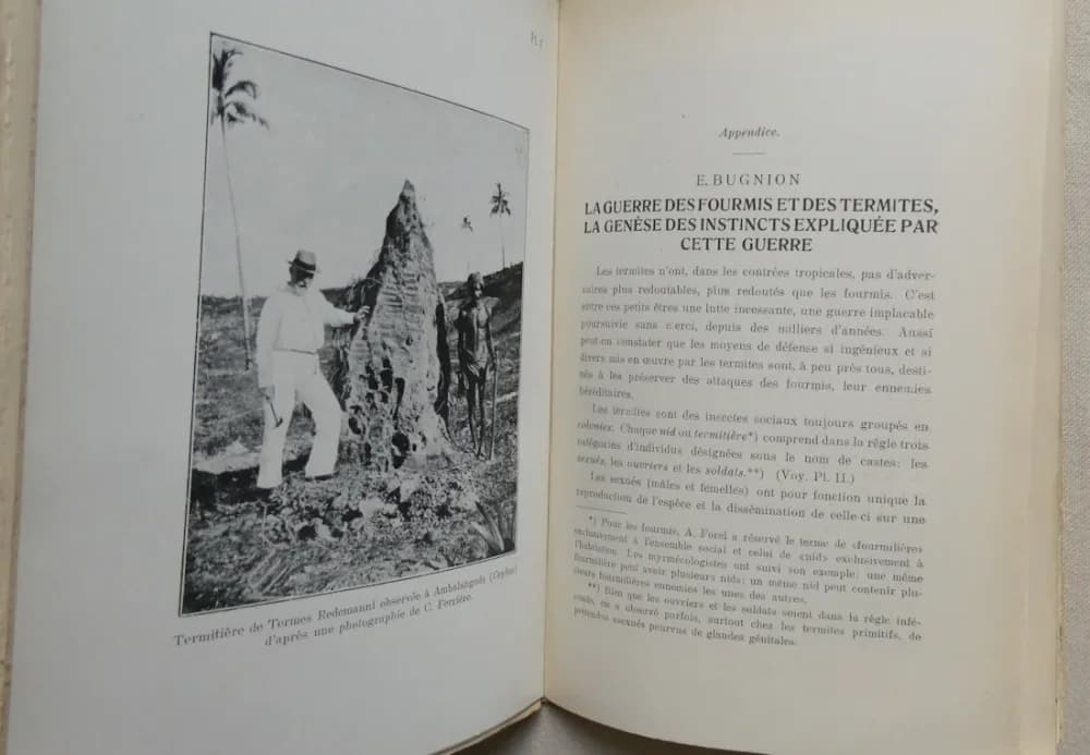 Le Monde Social des Fourmis. A. FOREL 5 Tomes - Image 9